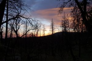 A beautiful, haunting evening view into the Stanislav National Forest which borders Yosemite.