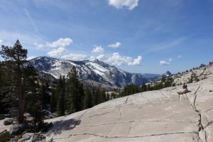 The apex of a tame 500 ft. peak in the north. Obsidian shards from extinct Native tribes that once called Yosemite home can still be found frequently.