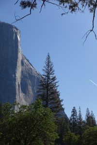 El Capitan, a 100M year old sheet of granite. Check out that nose.