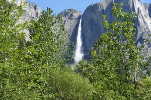 Upper Yosemite Falls, a sight to see.