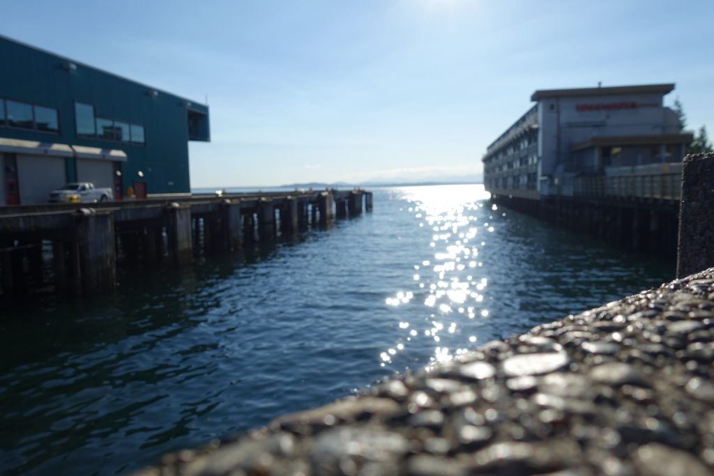 The most peaceful and motivating place, walking path on the Sound between docks.