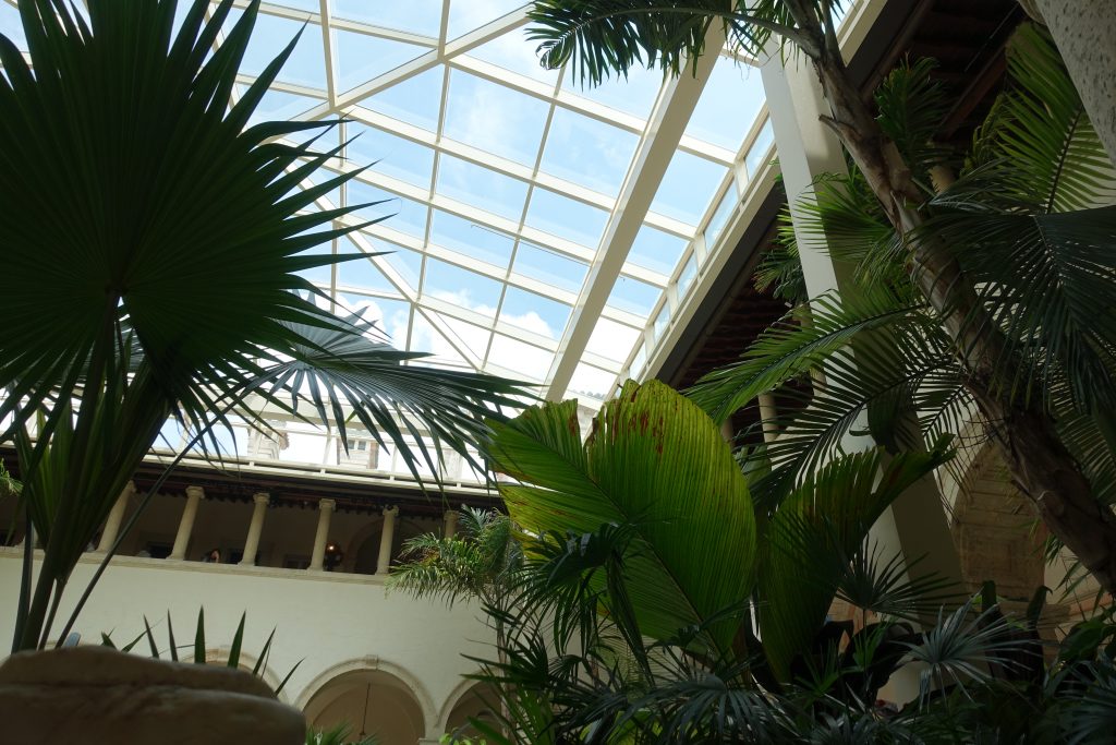 The home's main interior courtyard, blooming with native plants and trees.