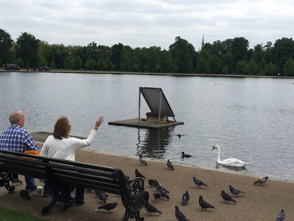 Feeding the birds behind Kensington Palace