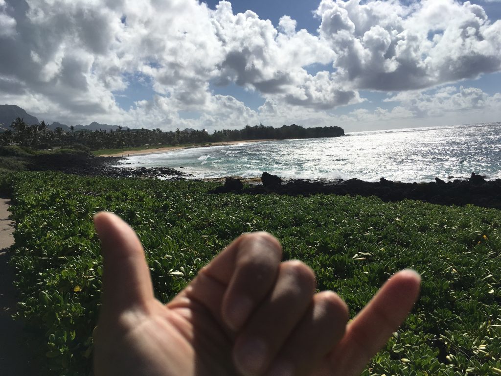 Aloha!