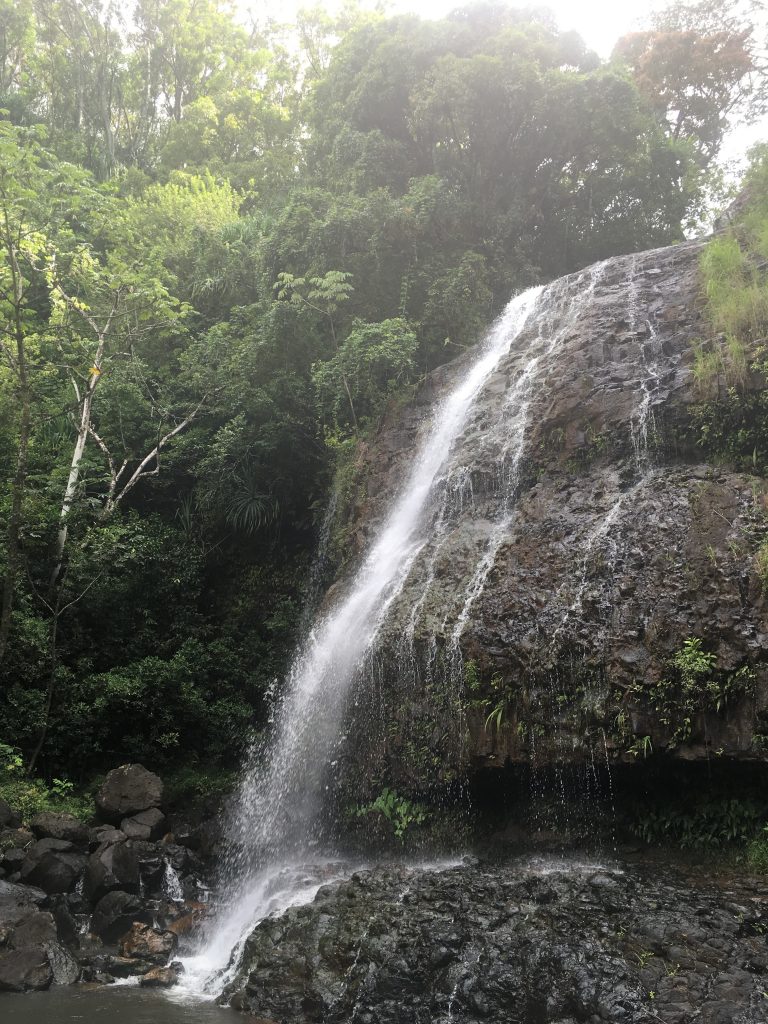 A different waterfall, not this one. There are lots in Kaua'i