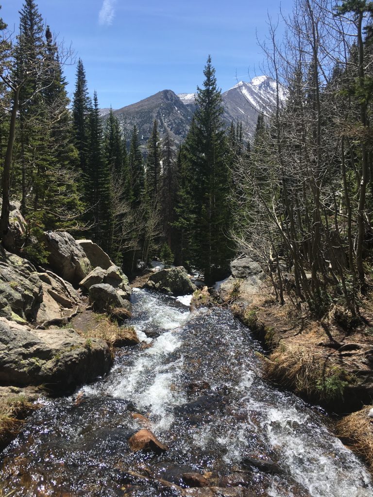 Chaos Creek / Alberta Falls