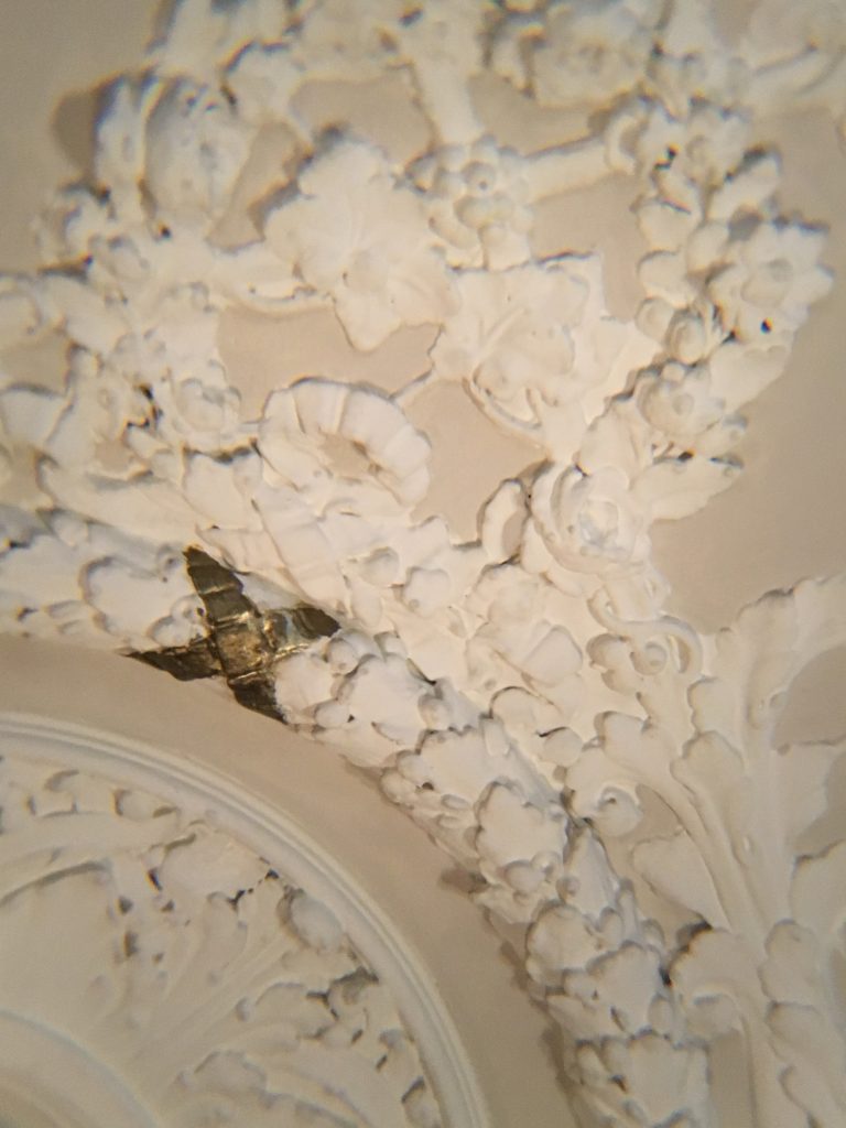 Plaster ceilings at The Blackstone