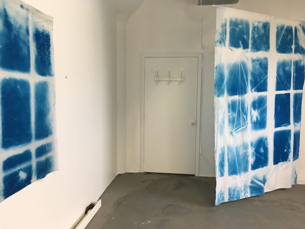 Vanessa Albury's "All Things That Are, Are Light and Soot" at Louisville's Quappi Projects