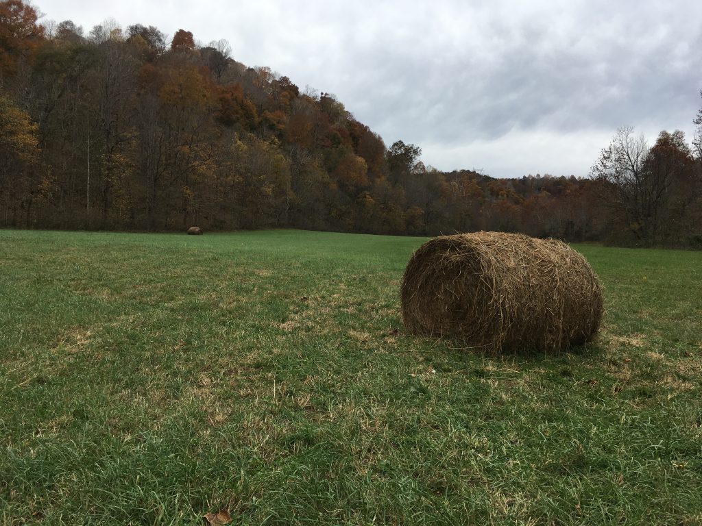 Fields where a boy President played, and I cried