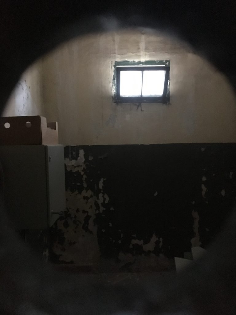 View into a cell