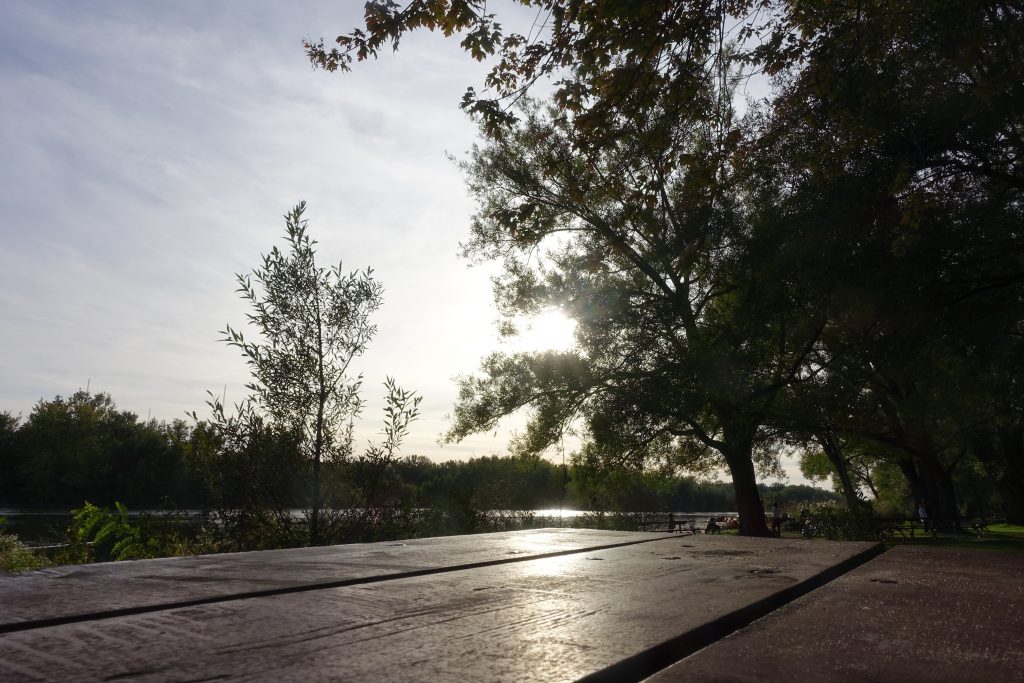 How a picnic on Toronto Island should feel