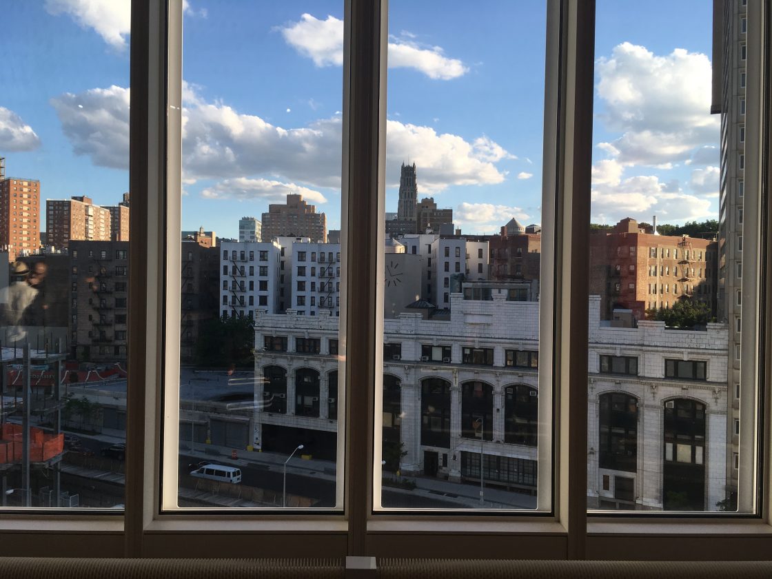 The view from the Wallach, Harlem beyond